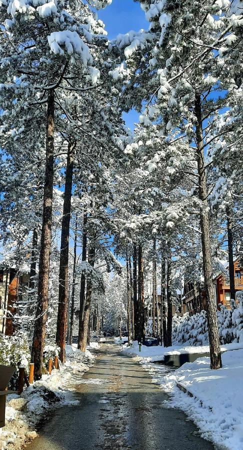 Apartment Erak Hill Zlatibor Exterior photo